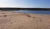 Tour Wandern Lommel - Sahara Lommel - Photo 4