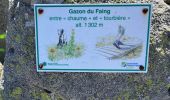 Trail Walking Soultzeren - Tanet-Gazon du Fain-Tanet - Photo 6