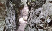 Excursión Senderismo Le Revest-les-Eaux - Grotte Gaspard  - Photo 2