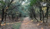 Tour Wandern Vers-Pont-du-Gard - Autour du Pont du Gard - Photo 6