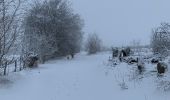 Trail Walking La Roche-en-Ardenne - Autour de Samree  - Photo 13