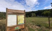 Trail Walking Clamart - Tour des etangs - Bois de Clamart et de Meudon - Photo 5