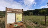 Randonnée Marche Clamart - Tour des etangs - Bois de Clamart et de Meudon - Photo 5