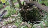 Trail Walking Courmes - Courmes, Plateau de St Barnabé, le Champ des Idoles - Photo 1