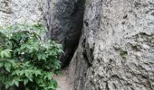 Excursión Senderismo Cheval-Blanc - les gorges du regalon - Photo 5