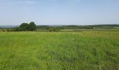 Trail Walking Durbuy - Wéris - Photo 2
