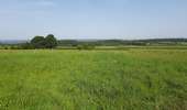 Tour Wandern Durbuy - Wéris - Photo 2