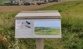 Excursión Senderismo Sangatte - Cap Blanc Nez  - Photo 2