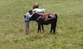 Tour Wandern Bouvante - fond hurle mimine Toto - Photo 4