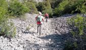 Trail Walking Bédoin - Bedoin  - Photo 2