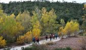 Tour Wandern Saint-Raphaël - MF Roussiveau, Malpey, Malavalettes et Charretiers - Photo 6