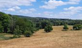 Trail Walking Montcornet - Montcornet Ardennes - Photo 1