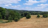 Trail Walking Montcornet - Montcornet Ardennes - Photo 1