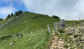 Tour Wandern Saint-Pierre-de-Chartreuse - Col Charmette Grand Sur sommet 10,7 km - Photo 14