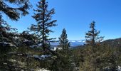 Randonnée Raquettes à neige Vaulnaveys-le-Haut - Lac Achard - Photo 12