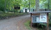 Trail On foot San Romano in Garfagnana - Sentiero Airone 3 - Photo 2