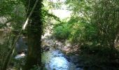 Excursión Senderismo Couptrain - la boucle des moulins - Photo 4