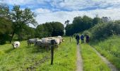 Tocht Stappen Hamois - Scy - Photo 14