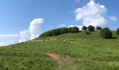 Percorso Mountainbike Pierre-Châtel - Peyrouse signaraux  56 km 2200 d+ - Photo 10