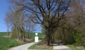 Trail On foot Fulda - Maberzell - Schulzenberg - Photo 6