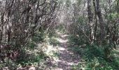 Trail Walking Cogolin - les hauts de Cavalaire - Photo 14