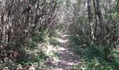 Excursión Senderismo Cogolin - les hauts de Cavalaire - Photo 14