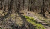 Percorso Mountainbike Saint-Clément - sortie vtt du 28032021 vitrimont  - Photo 2