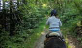 Trail Horseback riding Arfons - arfon4 - Photo 1