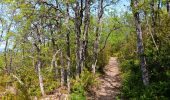 Tour Wandern Monieux - gorge de la Nesque via GR9 - Photo 7