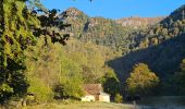 Tour Wandern Metzeral - Le belvédère du 1e Spitzkopf - Photo 10