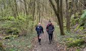 Tocht Noords wandelen Rosport-Mompach - Gr5 E2 de  Rosport à Beaufort - Photo 2