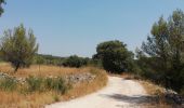 Tocht Stappen La Boissière - La Boissière Saint Martin  - Photo 7