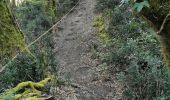 Trail Walking Marcenais - balade chien - Photo 9
