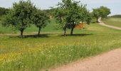 Tocht Te voet Mühlenbach - Panoramaweg Mühlenbach große Runde - Photo 1