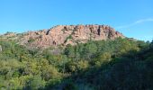 Trail Walking Le Muy - Ste Candie - Photo 7