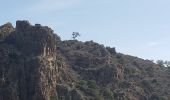 Tour Wandern Fréjus - L'Aigre, Col des Sacs, Pas d'Adam - Photo 5