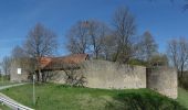 Tocht Te voet Waischenfeld - Waischenfeld Rundwanderweg grüner Ring - Photo 9