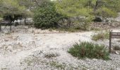 Trail Walking Toulon - Boucle Faron - Photo 6