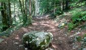 Trail Walking Le Frasnois - Tour du lac du Franoy - Photo 3
