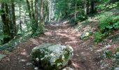 Randonnée Marche Le Frasnois - Tour du lac du Franoy - Photo 3