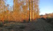 Randonnée Marche Saint-Jean-aux-Bois - en forêt de Compiègne_33_les Tournantes de l'étang Saint-Jean et des Prés Saint-Jean - Photo 9