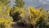 Tocht Stappen Gémenos - Coulin, Mont Cruvelier, Sommet de Bigou - Photo 5