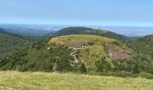 Tocht Stappen Ceyssat - Puy-de-Dôme, Petit Suchet et Grand Suchet - Photo 12