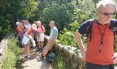 Excursión Senderismo Montauroux - Les gorges de la Siagne et les chênes pluricentenaires - Photo 19