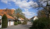 Tocht Te voet Am Mellensee - Mellenseer Rundwanderweg - Photo 2