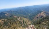 Excursión Senderismo Val-d'Aigoual - serreyrede à l aigoual par arboretum - Photo 1