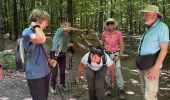 Trail Walking Hotton - Ménil Favay - Photo 3