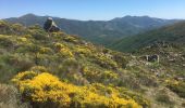 Randonnée Marche Rosis - Le sommet du Plo des Brus dans l'Espinouse - Photo 6