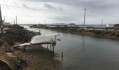 Tour Wandern Gruissan - Gruissan - Tour de l'île Saint Martin par l'Ayrolle - Photo 10