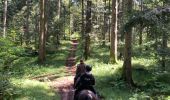 Trail Horseback riding Bertrimoutier - Restaurant belle vue col de sainte marie Tivio  - Photo 1